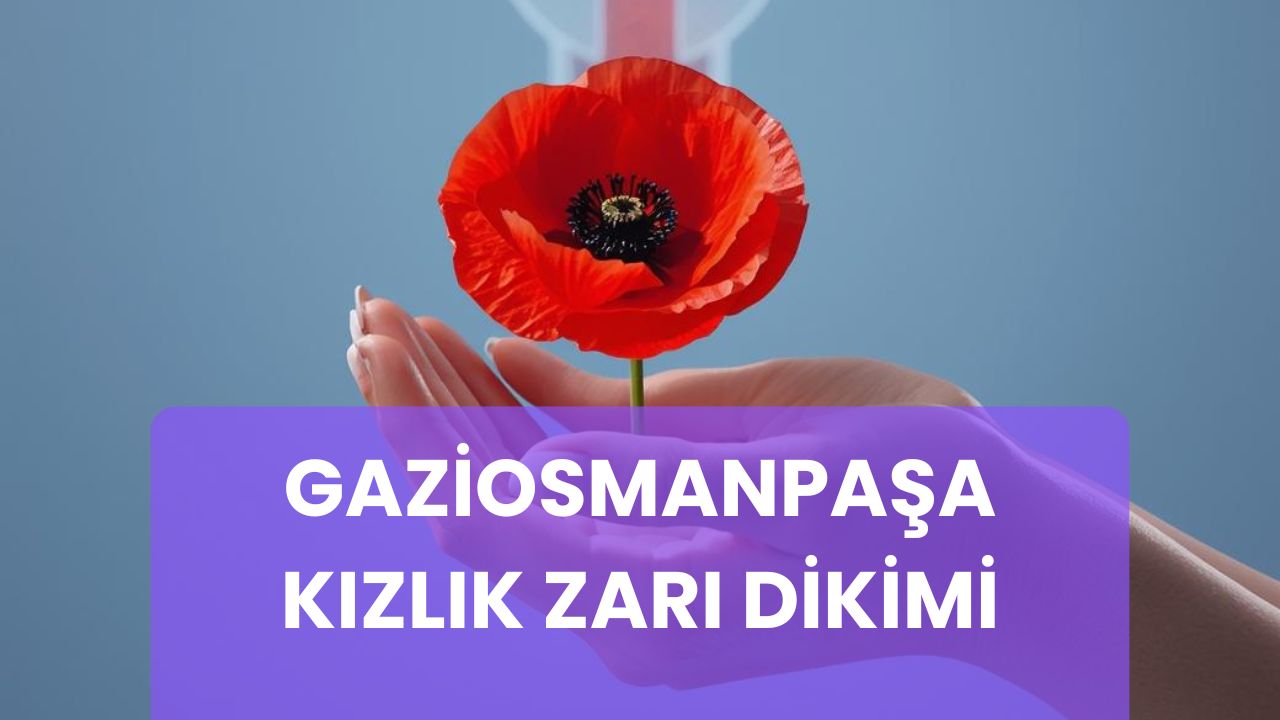 gaziosmanpaşa kızlık zarı dikimi