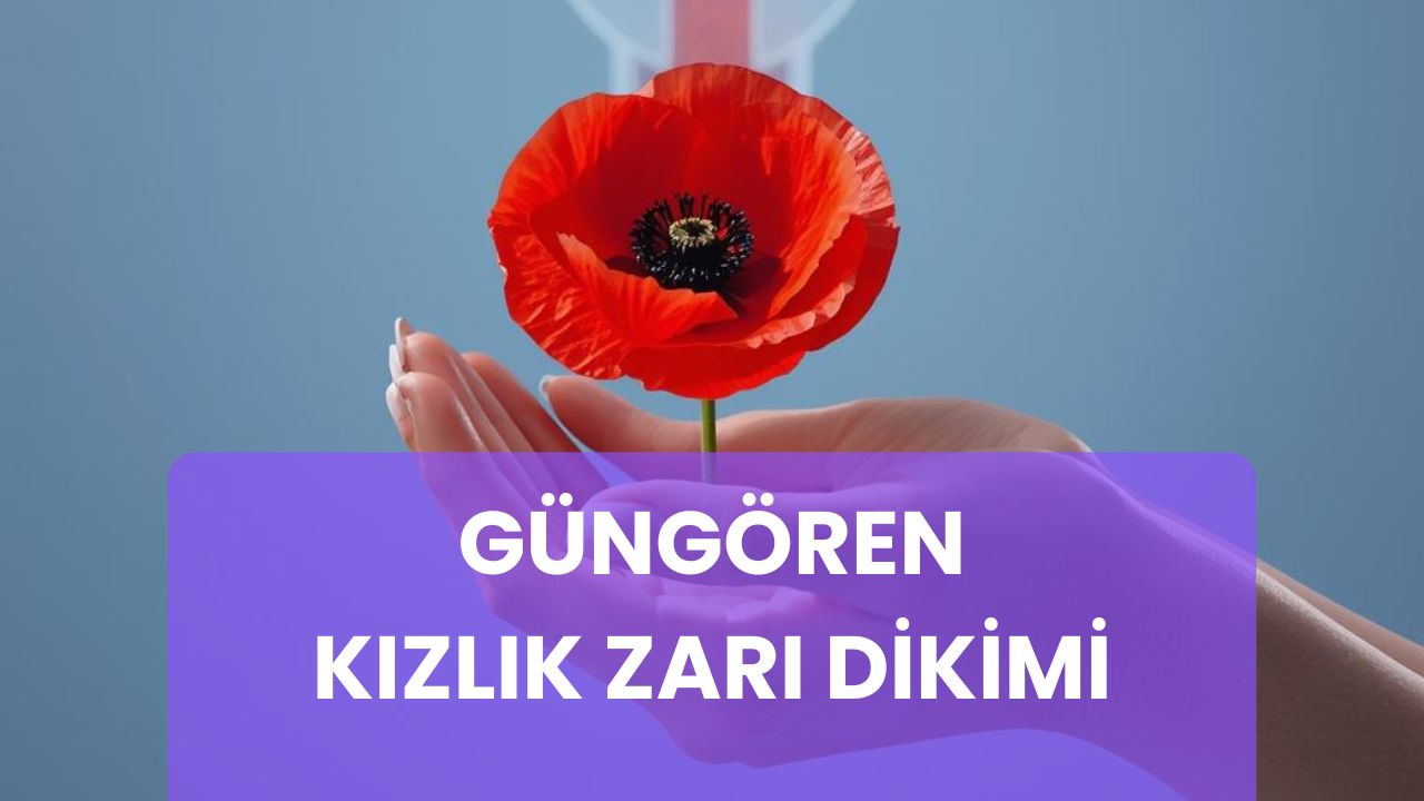 Güngören Kızlık Zarı Dikimi
