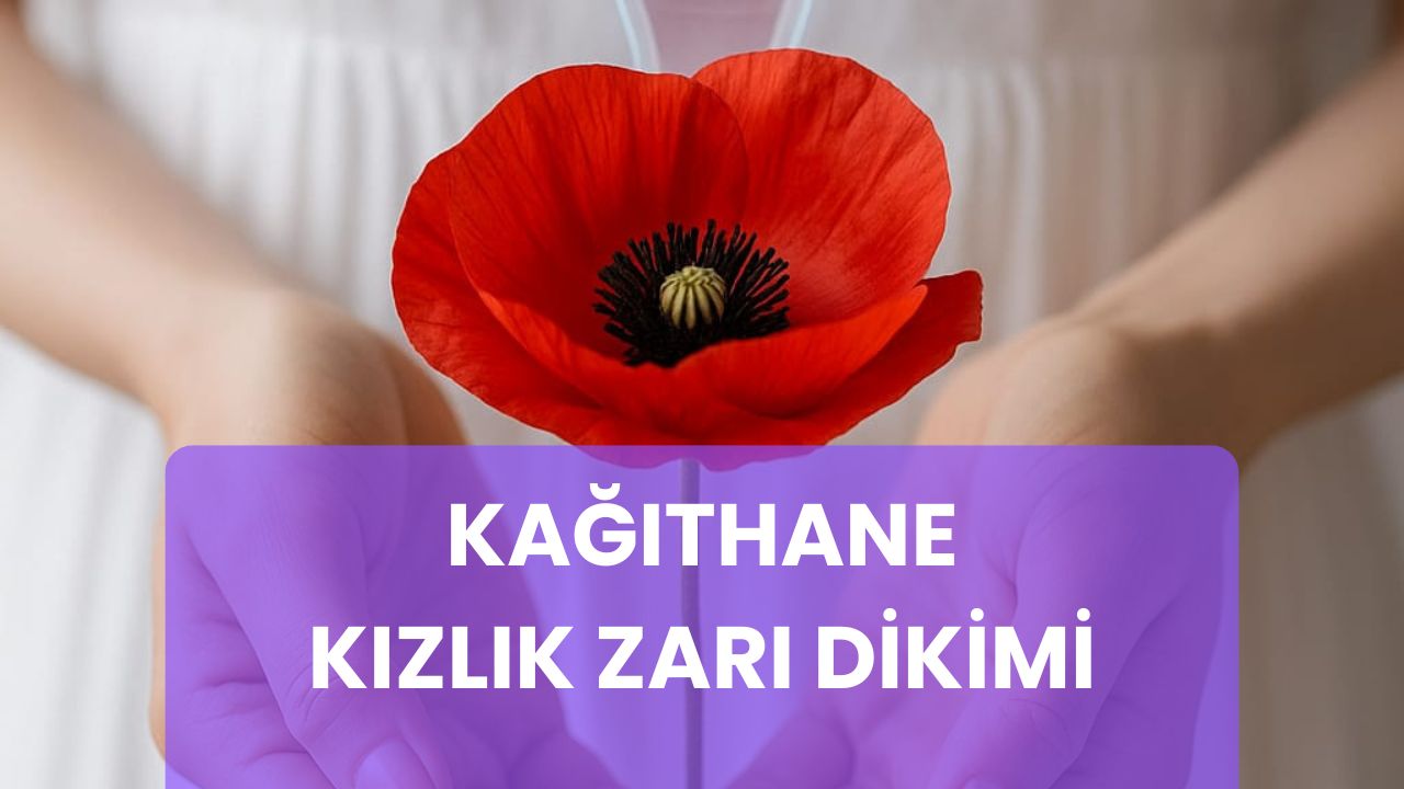 Kağıthane kızlık zarı dikimi