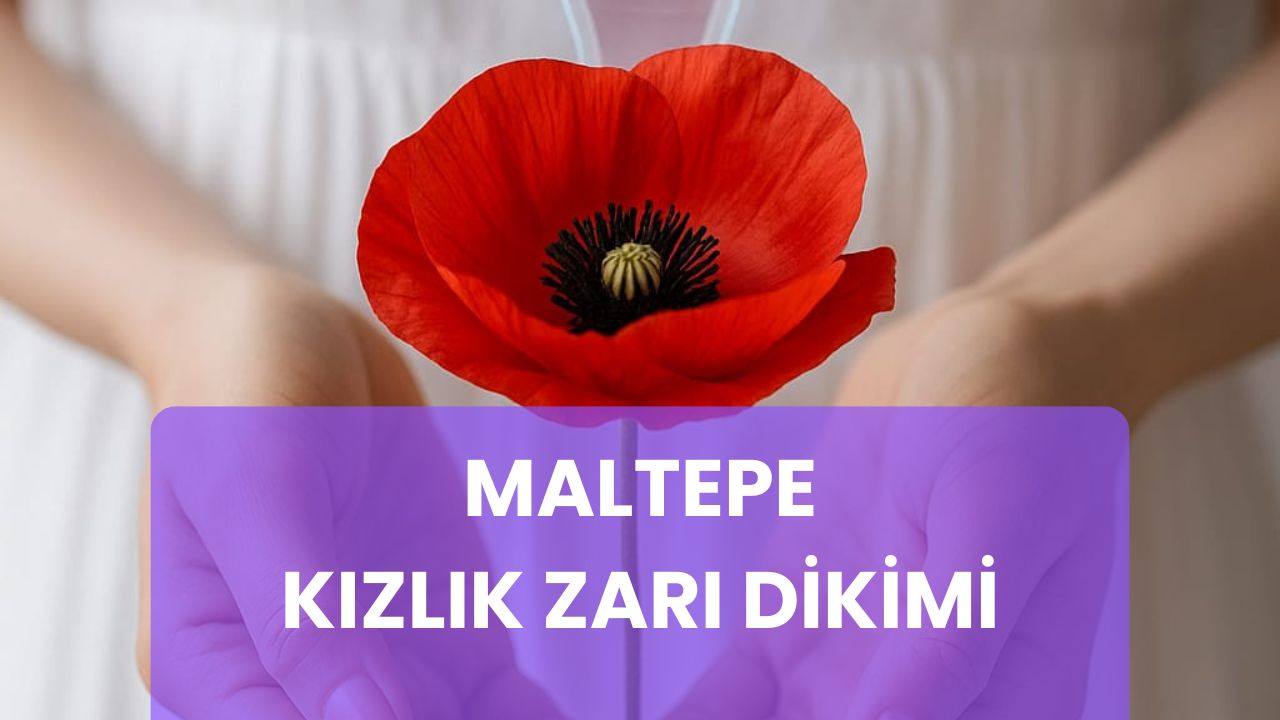 maltepe kızlık zarı dikimi